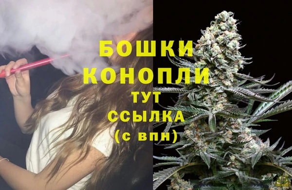 молекула духа Бронницы