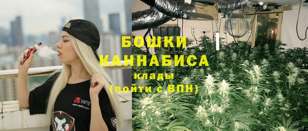 молекула духа Бронницы