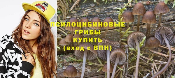 наркотики Бородино