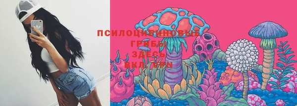 молекула духа Бронницы