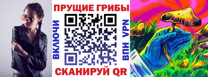 Галлюциногенные грибы прущие грибы  Купить  Макушино 